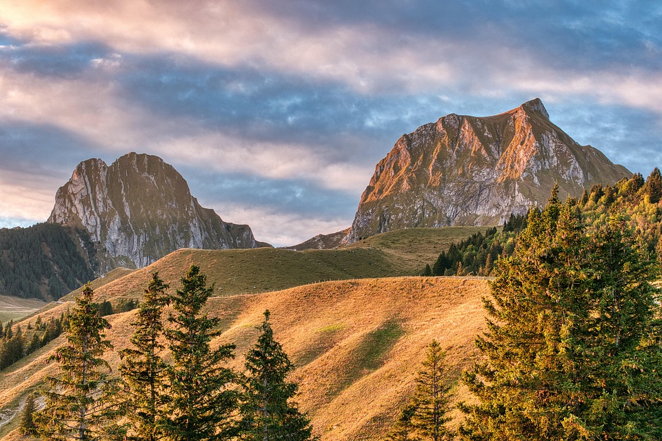 Exploring Disability Insurance Options in Switzerland
