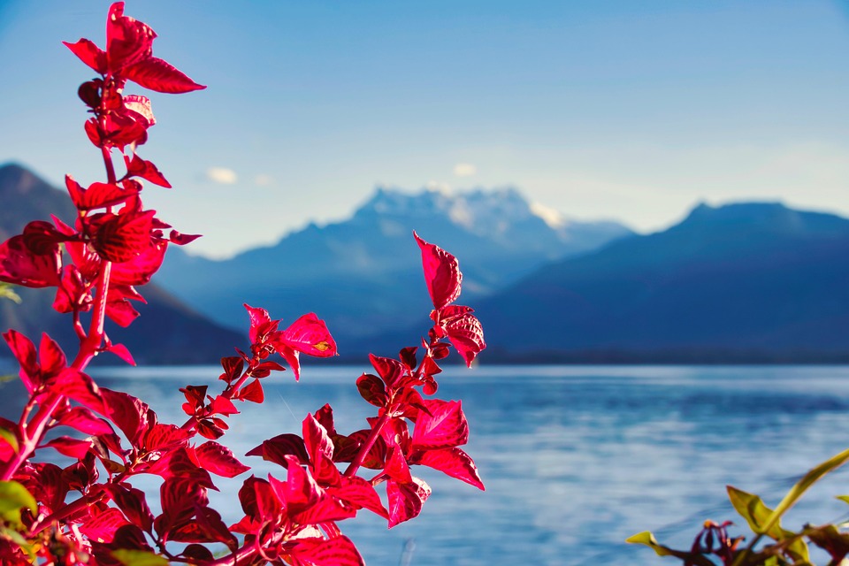 supplemental health insurance Switzerland