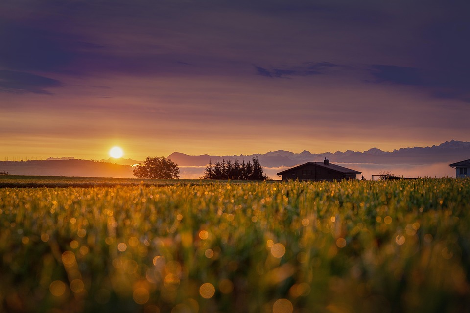 investment-linked insurance Switzerland