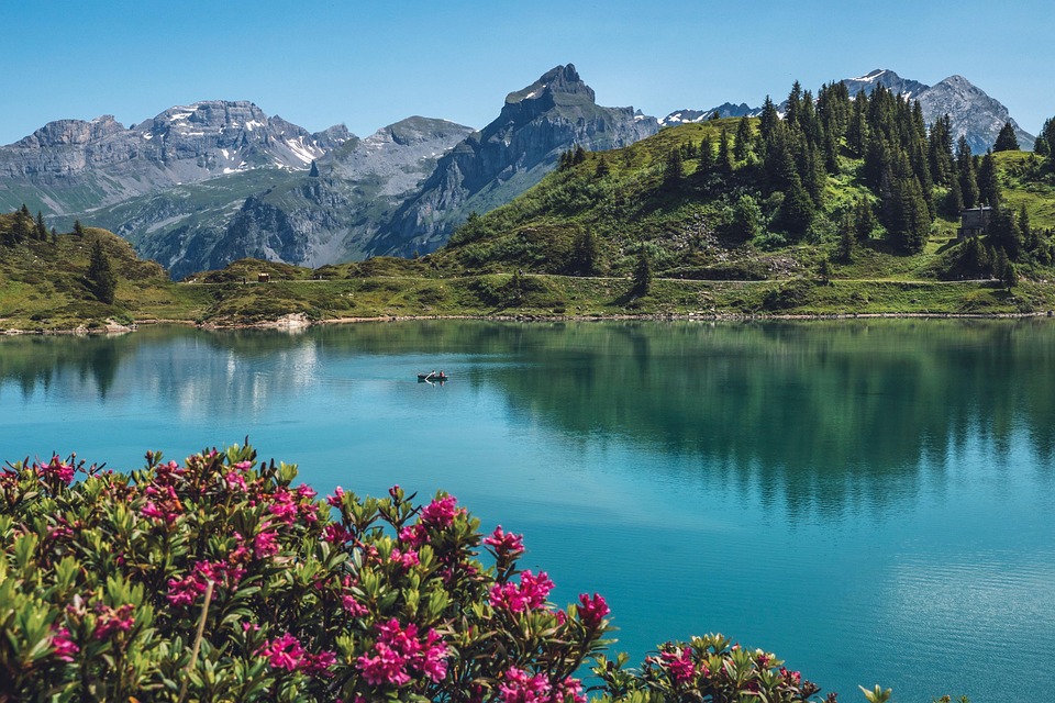 financial planning with insurance Switzerland