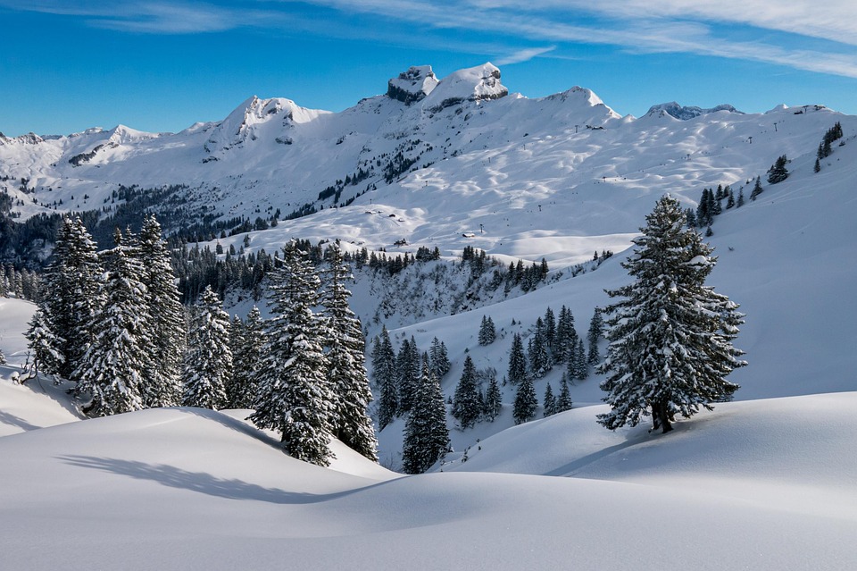 long-term care insurance Switzerland