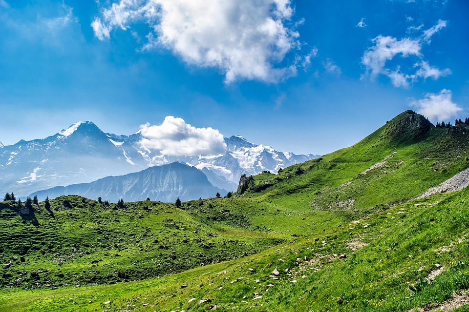 car insurance switzerland comparison