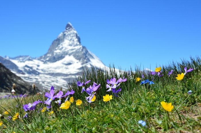 the Swiss Pension System