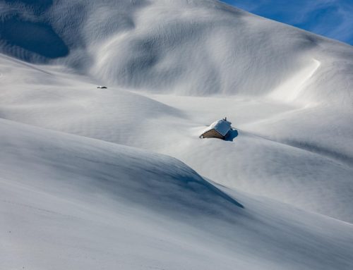 How Pillar 2 Enhances Swiss Employee Benefits