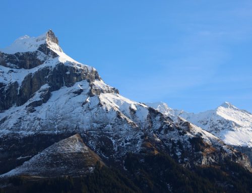 Key Features of Swiss Pillar 2 Explained