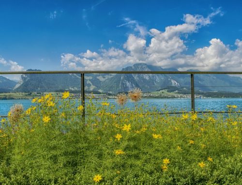 International Insurance for People Living in Switzerland: What Cover Do You Need?
