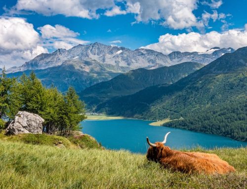 Comprehensive Guide to Switzerland’s Supplemental Health Coverage