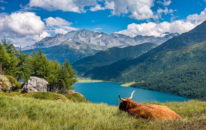 supplemental health insurance Switzerland