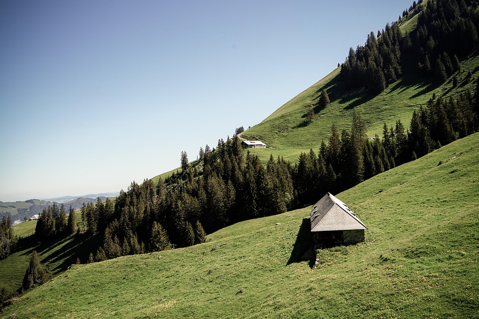 Swiss private pension savings