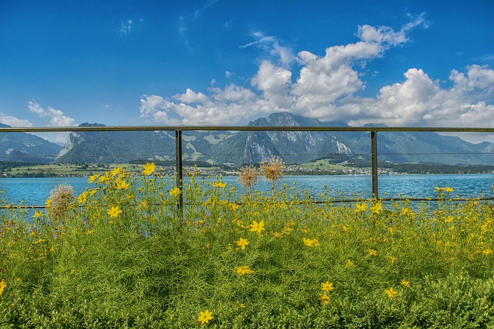 International Insurance for People Living in Switzerland: What Cover Do You Need?